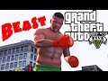 Franklin Street Fighter/Knock Out Artist GTA 5 ...