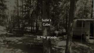 preview picture of video 'Suzie's Cube  In The Woods'