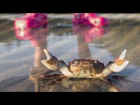 Tatchu Peninsula, B.C. 2016