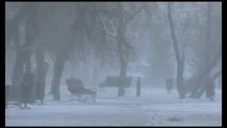 Более 120 тыс. человек были отключены от электроэнергии