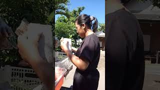 Download lagu suci dalam debu iklim mp3