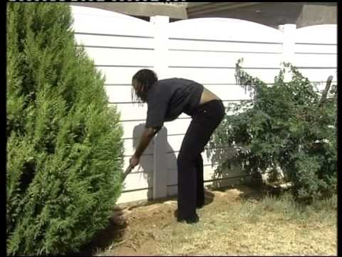 PUNAH GABASIANE - IYOO NNA!