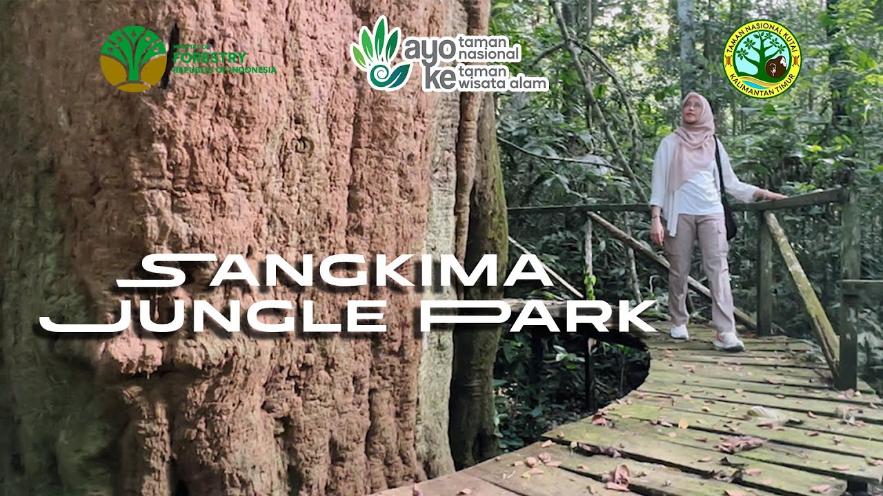WISATA SANGKIMA JUNGLE PARK