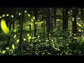 Vangelis - La Mer Recommencee [800% slowed, Ambient]