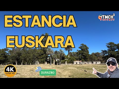 Secretos ocultos en una casa vieja ¡No lo creerás!
