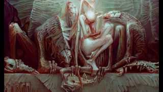 Tool - No Quarter (Led Zeppelin Cover) English-Español