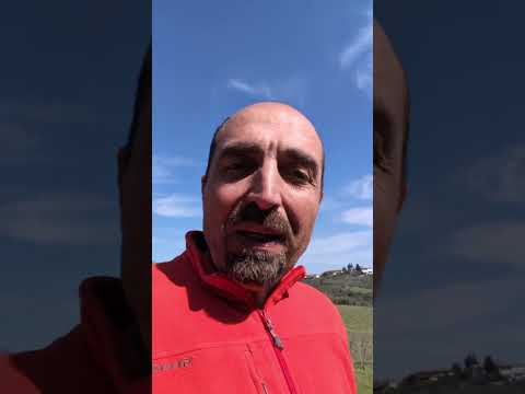 Simone Chiarelli: the administrative procedure in brief