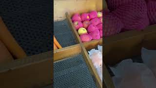 Download lagu The dragon fruit is empty 🤦🏻‍♀️ #trending #funny #comedy #shorts #fyp #challenge #video #trend #h... mp3