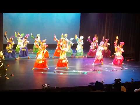 Ministry of Bhangra Sydney | Bhangra Down Under 2016 | 1st Place