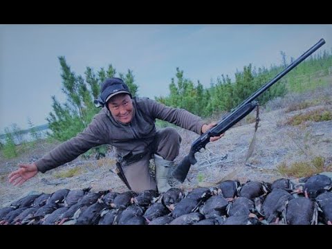 Турпанов как комаров - Охота на уток в Якутии 2 серия