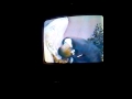 A Weird Man Screaming At The Wedding On Afv