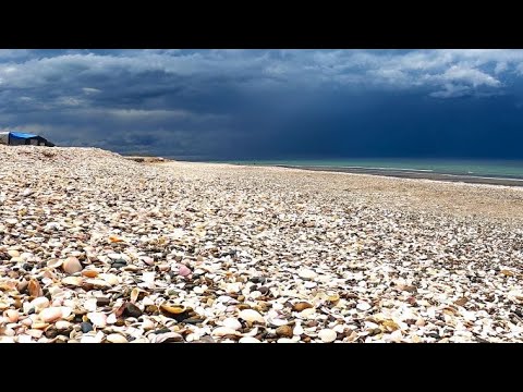 【4K】PLAYA LAS CONCHILLAS recubierta con miles de caracoles en ARGENTINA🇦🇷 #Walk tour PATAGONIA 2022
