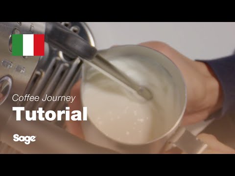 Tutorial sul caffè | Montatura del latte con microbolle a casa tua come al bar | Sage Appliances IT