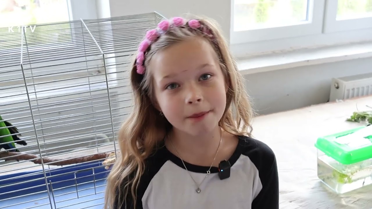 Kynšperk nad Ohří  Den mazlíčků