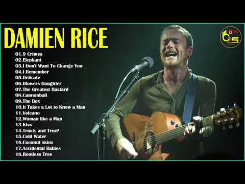 Damien Rice Greatest Hits - Best Of Damien Rice