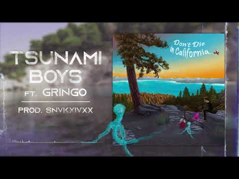 Jay Max - Tsunami Boys (Ft. Gringo) [Prod. SNVKXIVXX]