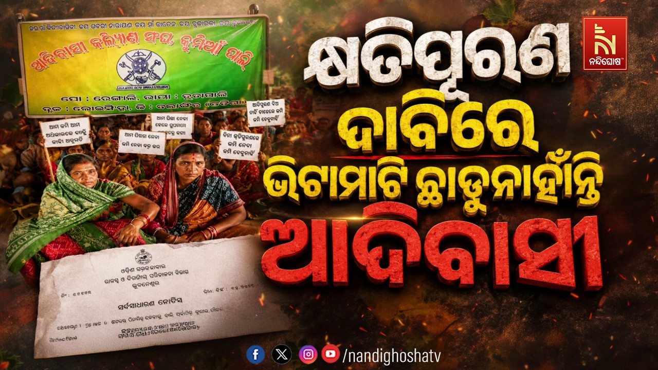 କ୍ଷତିପୂରଣ ଦାବିରେ ଭିଟାମାଟି ଛାଡୁନାହାଁନ୍ତି ଆଦିବାସୀ #nandi
