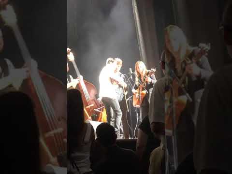 Pulaski at Night- Andrew Bird live at the Ryman 7-12-19