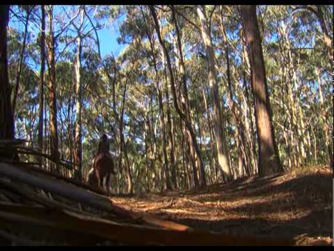 Grand Galop Saison 3 Episode 20   La race des seigneurs