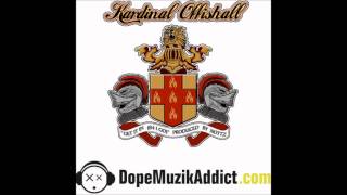 Kardinal Offishall & Nottz Raw -- Get It In (B4 I Go)