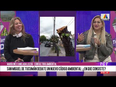 San Miguel de Tucumán debate un nuevo código ambiental: ¿en qué consiste?