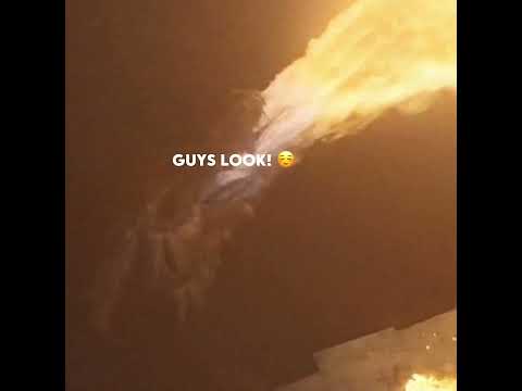 HOTD Dragons being Dragons (with subtitles)