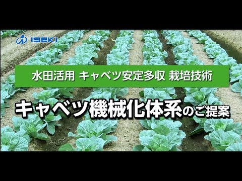 , title : '【営農情報】キャベツ機械化大規模体系'