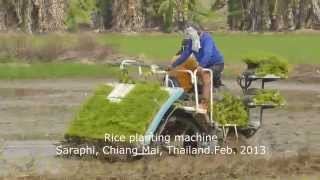preview picture of video 'What to see on a trip to Thailand. Rice planting machine. (Panasonic Lumix TZ30/SV20) HD'