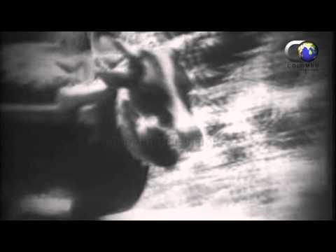 Sandeshaya Film   Kate Kiri Suwada