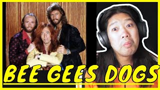 Bee Gees Dogs Reaction