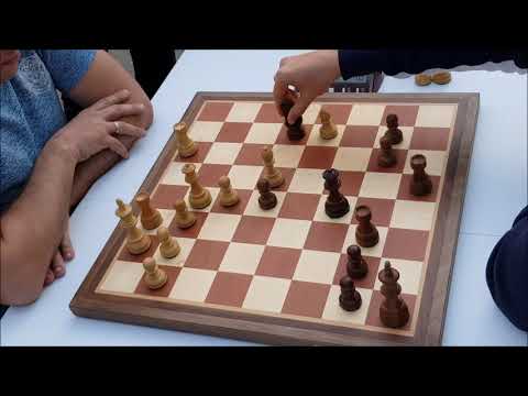 IM Shinkevich (Russia) - GM Sarana (Russia) 5m