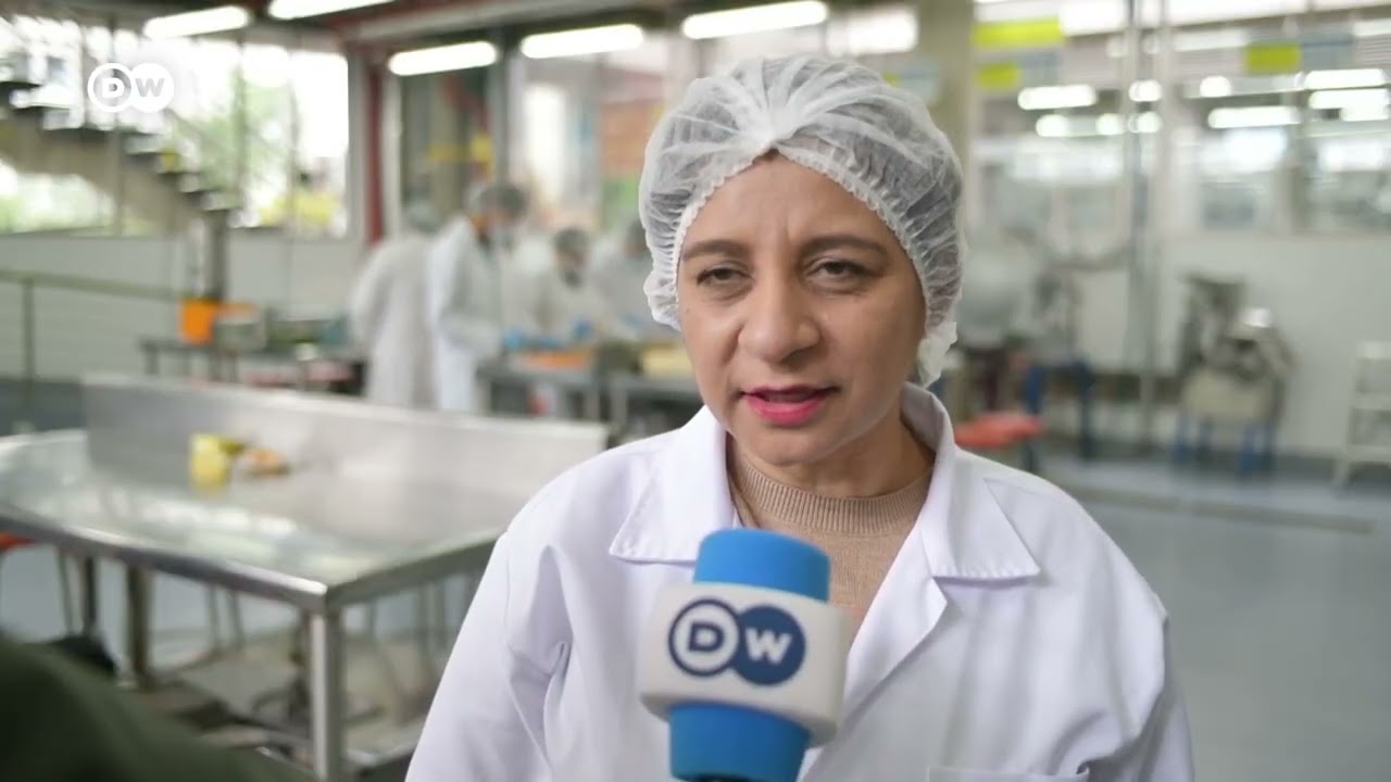 Crean suplemento alimenticio para abejas en riesgo