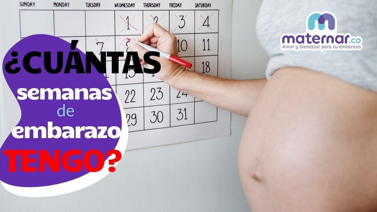 ¿Cómo calcular cuántas semanas de embarazo tengo | Maternar.co