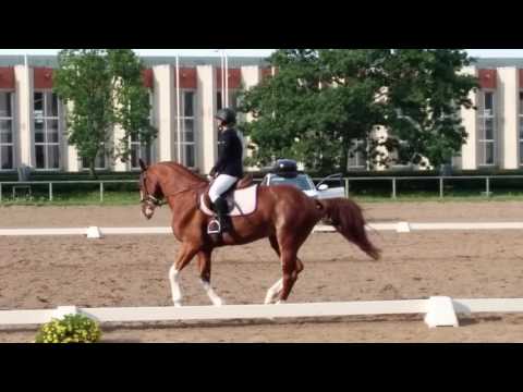 Kardinals - Preliminary Children Test B - 24.07.16