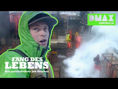 Überleben im Sturm! | Compilation | Fang des Lebens - Der gefährlichste Job Alaskas | DMAX Adrenalin