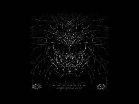 Omega & Conciousness - Alien Talk