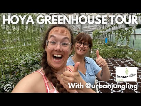 Hoya greenhouses tour with Pantar and @urbanjungling | Plant with Roos