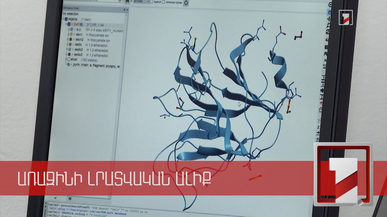 Գիտնականները մոդելավորում են կենսաբանական գործընթացները