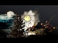 "Song from The Moon" - Bryan McPherson