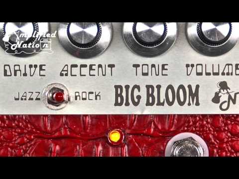 Amplified Nation Big Bloom Dumble Overdrive Pedal Silver