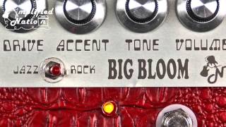Video thumbnail for Amplified Nation Big Bloom Overdrive by Mike Hermans