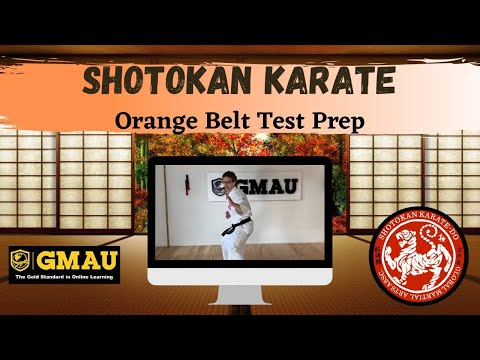 Shotokan Karate Orange Belt Review LIVE Class thumbnail