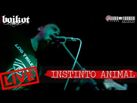 Instinto animal - BOIKOT | CINTA ABIERTA "LIVE"