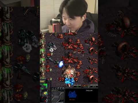 ARE YOU... Kidding me...