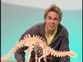 Hi 5 Australia T11 E20 Corpo Humano