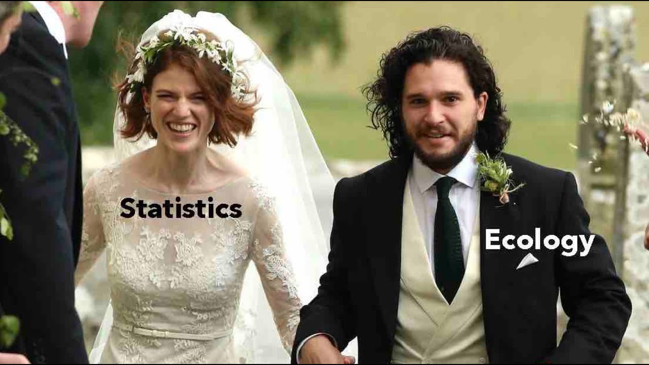 Statistics for ecologists - part 1