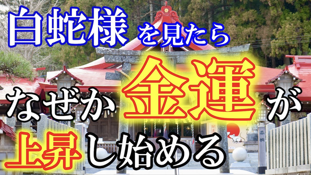 【白蛇様の強力なパワー✨】見始めた瞬間からなぜか急に金運が上昇する金蛇水神社☆　kanahebisuijinja Japan