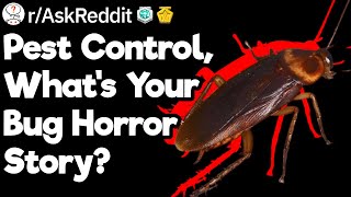"Bugs everywhere." - Pest Control Horror Stories