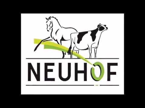 2017 - Fifty Jazz du Neuhof - Fürst Jazz X Sandro hit