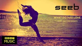 Seeb - What Do You Love (feat Jacob Banks)